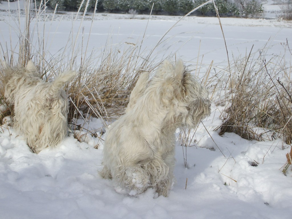 Yeye y Yari en la nieve