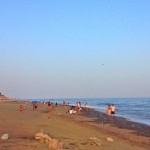 La Cala Del Moral, una nueva playa habilitada para perros