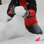 Construyendo un westie de nieve,: rellenando los huecos de la cabeza