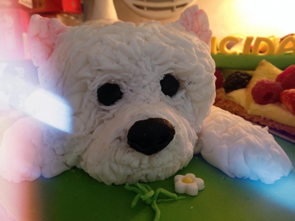 Un westie fondant en mi nevera