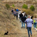 II encuentro de Westies Demerino and Friends - Paseo por el campo