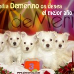 La familia Demerino os desea el mejor año 2015. Imagen con 5 cachorros de la camada de Vhella Demerino