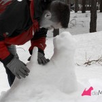 Construyendo un westie de nieve: ajustando el cuerpo y lomo