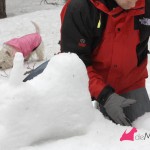 Construyendo un westie de nieve: preparando la cabeza